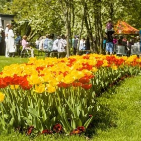 item_940879_pic_1_contentwidth