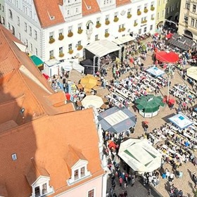 item_1095175_pic_1_contentwidth