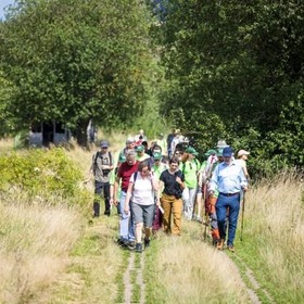 item_1098958_pic_1_contentwidth