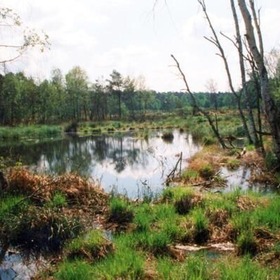 item_1099076_pic_1_contentwidth