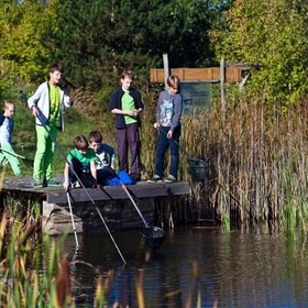 item_1099079_pic_1_contentwidth